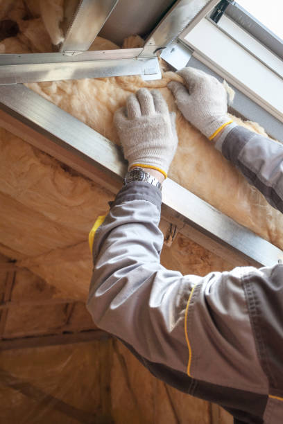 Best Crawl Space Insulation  in Benbrook, TX