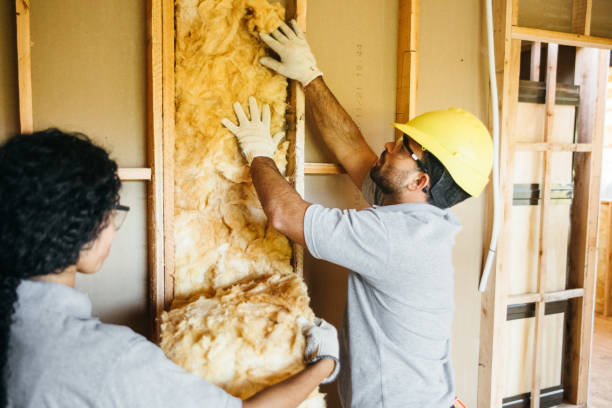 Best Blown-in Insulation  in Benbrook, TX